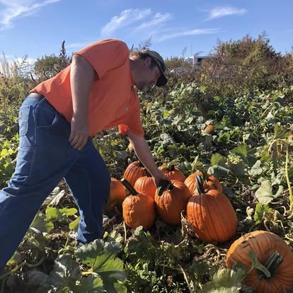 Blake Kamp picking pumpkins in the patch
