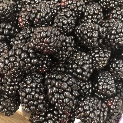 A container of fresh-picked blackberries